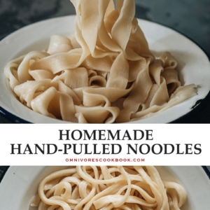 These freshly made hand-pulled noodles are springy and meaty, with a chewy mouthfeel that you’ll never get from dried noodles. Learn all the secrets of hand-pulled noodles so you can easily make them at home without fail! {Vegan}
