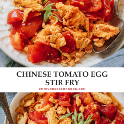 Tender tomatoes and scrambled eggs are stir fried with aromatics and very simple seasonings and served with rice. It’s a super hearty and healthy meal that takes 10 minutes to throw together and it tastes so satisfying. {Vegetarian, Gluten-Free}