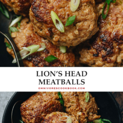 A Chinese pork meatball recipe that uses breadcrumbs, water chestnuts, and aromatics to make super light, fluffy and juicy meatballs that are bursting with flavor.
